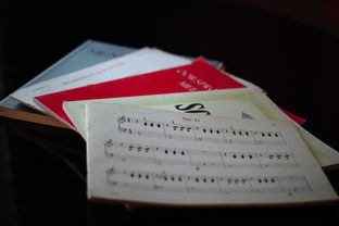 米兰体育官网-中小学体育课程内容优化实践，中小学体育课程一体化研究