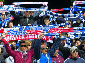 米兰体育-球迷文化盛宴：从欧洲到亚洲的足球狂欢，中国足球球迷文化